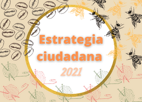 Estrategia ciudadana 2021B